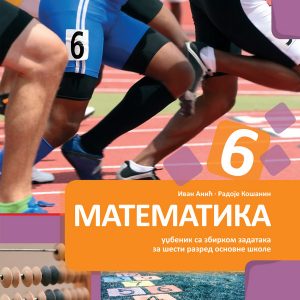 BIGZ - Matematika sa zbirkom 6 drugi deo , Matemetakia udžbenik sa zbirkom zadataka za sesti razred ( DRUGI DEO ) .